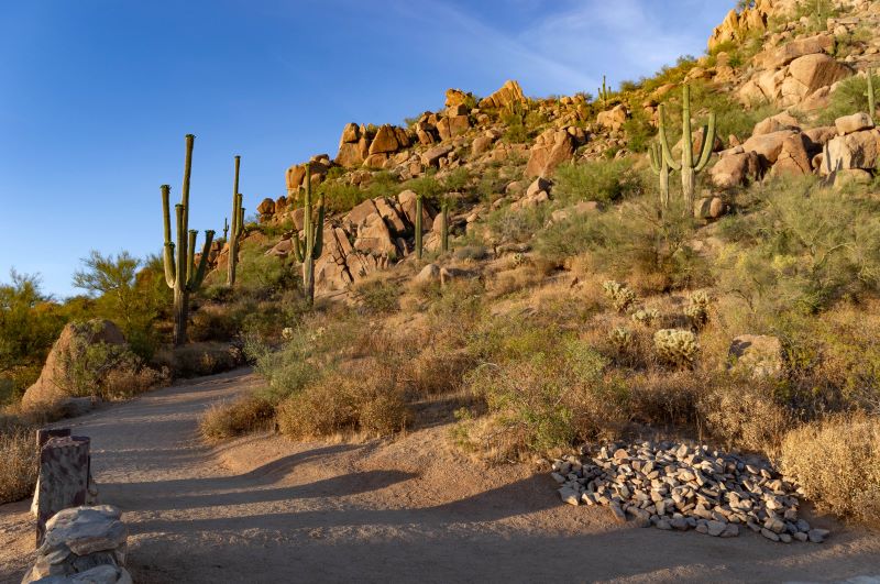 Cave Creek